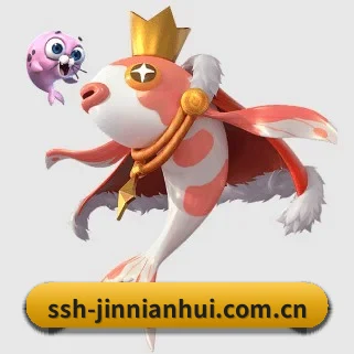ssh-jinnianhui.com.cn APP